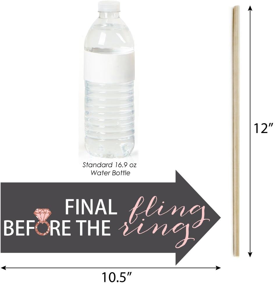 Big Dot of Happiness Funny Bride Squad - Rose Gold Bridal Shower or Bachelorette Party Photo Booth Props Kit - 10 Piece