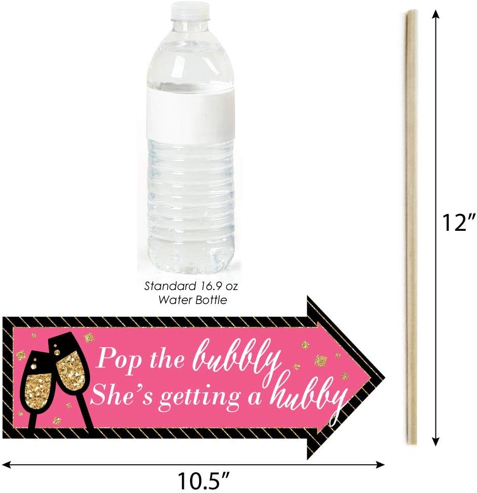 Big Dot of Happiness Funny Girls Night Out - Bachelorette Party Photo Booth Props Kit - 10 Piece