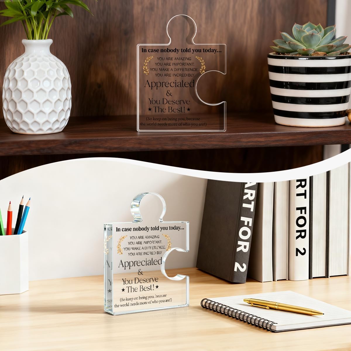 Employee Appreciation Gifts Thank You Gift Goodbye Leaving Gifts for Coworkers Colleagues Employees, in Case Nobody Told You Today You Are Appreciated Acrylic Puzzle Piece Plaque Office Decor