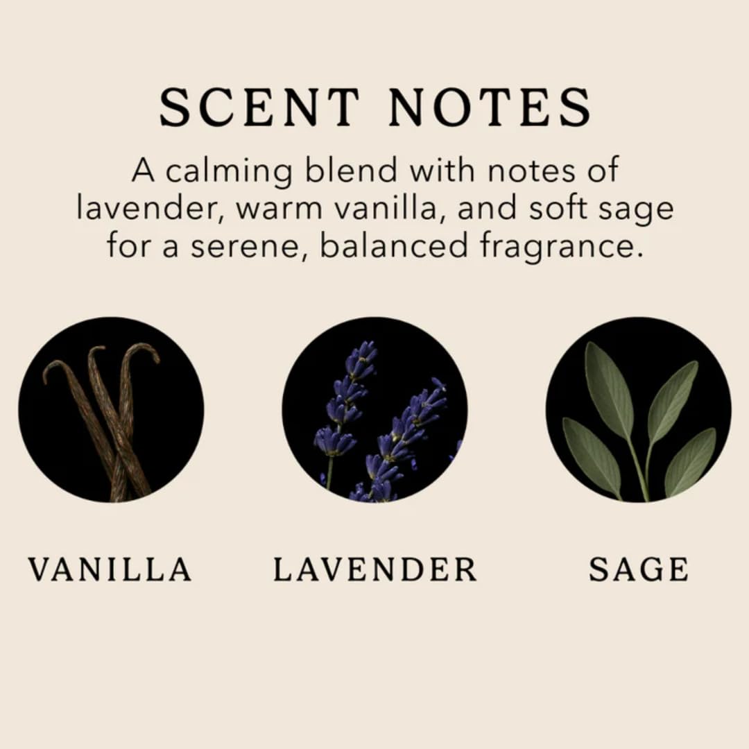 Pacha Soap Co. Bar Soap, Vanilla & Sage, 4 oz, 3-Pack (12 oz Total) - Premium, Hydrating, Moisturizing, Face Wash, Hand Cleanser, Body Wash, Handcrafted in the USA