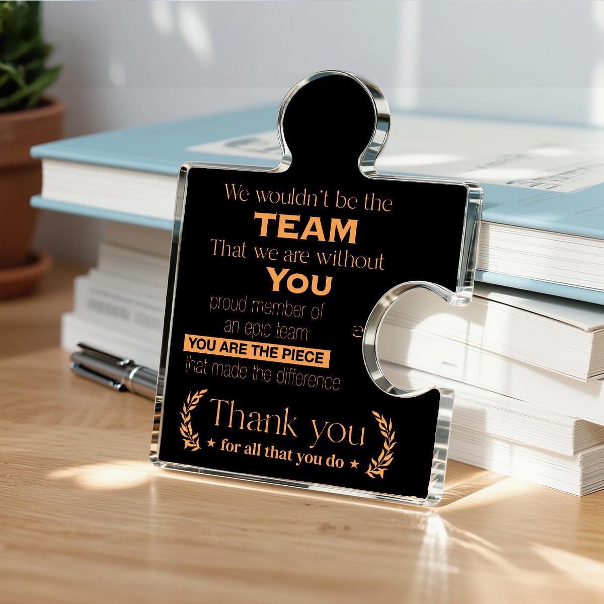 Teams Appreciation Gifts Thank You Gift for Coworkers Colleagues Employees Boss, Best Team Ever Gifts We Wouldn't Be the Team We Are Without You Acrylic Puzzle Piece Plaque Office Decor, Black
