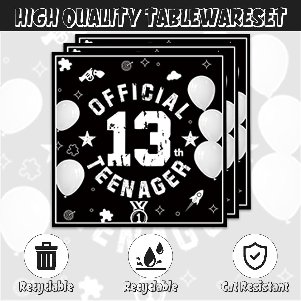 40Pcs 13th Birthday Party Decorations Plates Disposable Tableware Include Plates and Napkins For 20 Guests 13th Birthday Decorations for Boys Girls