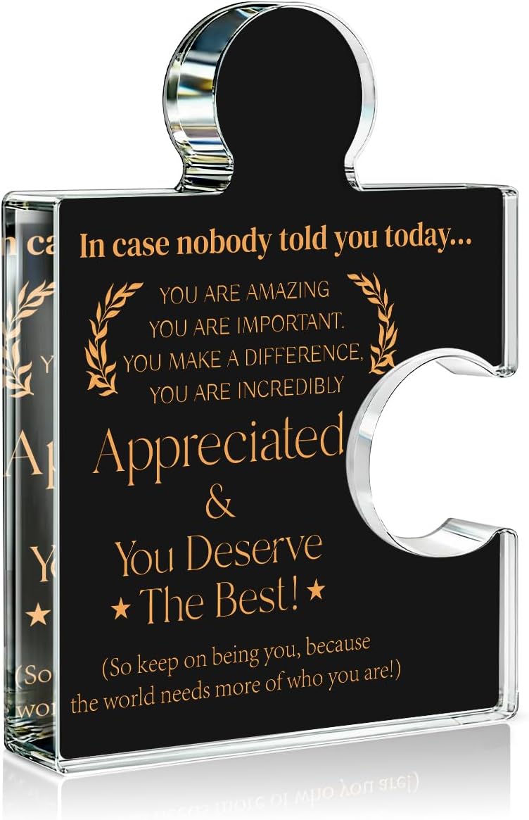 Employee Appreciation Gifts Thank You Gift Goodbye Leaving Gifts for Coworkers Colleagues Employees, In Case Nobody Told You Today You Are Appreciated Acrylic Puzzle Piece Plaque Office Decor, Black