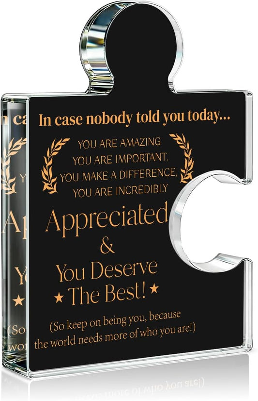Employee Appreciation Gifts Thank You Gift Goodbye Leaving Gifts for Coworkers Colleagues Employees, In Case Nobody Told You Today You Are Appreciated Acrylic Puzzle Piece Plaque Office Decor, Black