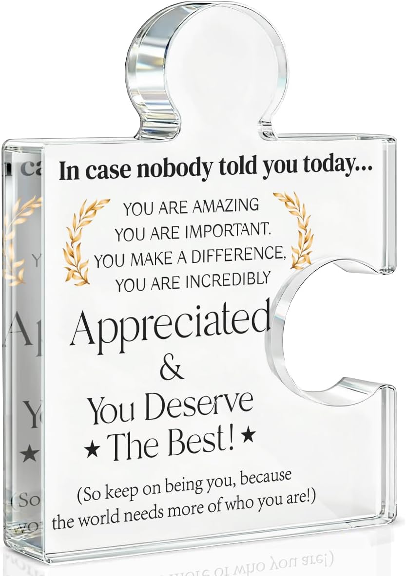 Employee Appreciation Gifts Thank You Gift Goodbye Leaving Gifts for Coworkers Colleagues Employees, in Case Nobody Told You Today You Are Appreciated Acrylic Puzzle Piece Plaque Office Decor