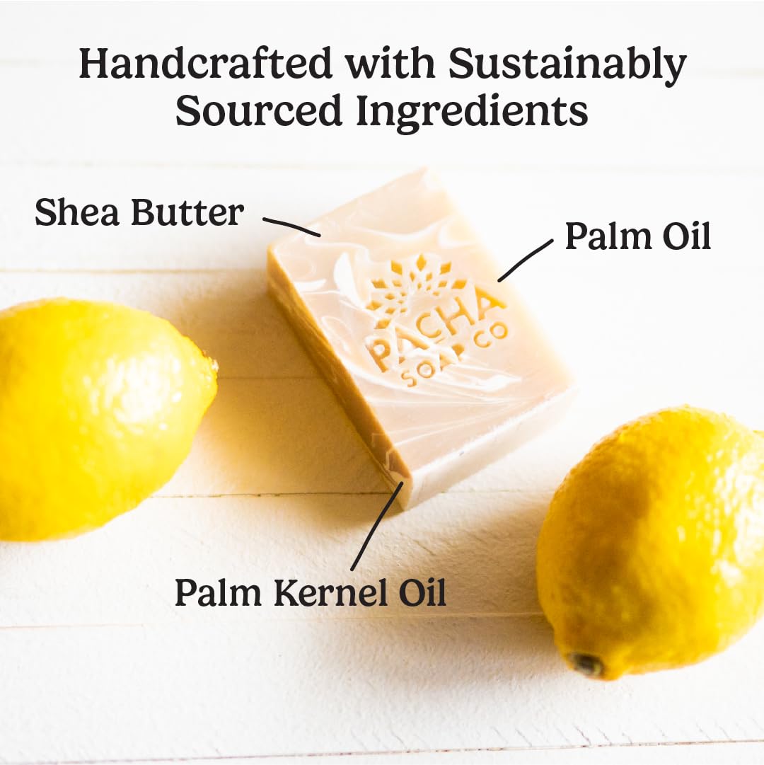 Pacha Soap Co. Bar Soap, Earthy Clean Bundle, 3-Pack (4 oz ea) - Coconut Lemon, Dirty Hippie, and Charcoal - Premium, Handcrafted, Hydrating, Natural Face Wash, Hand Cleanser, Soothing Essential Oils