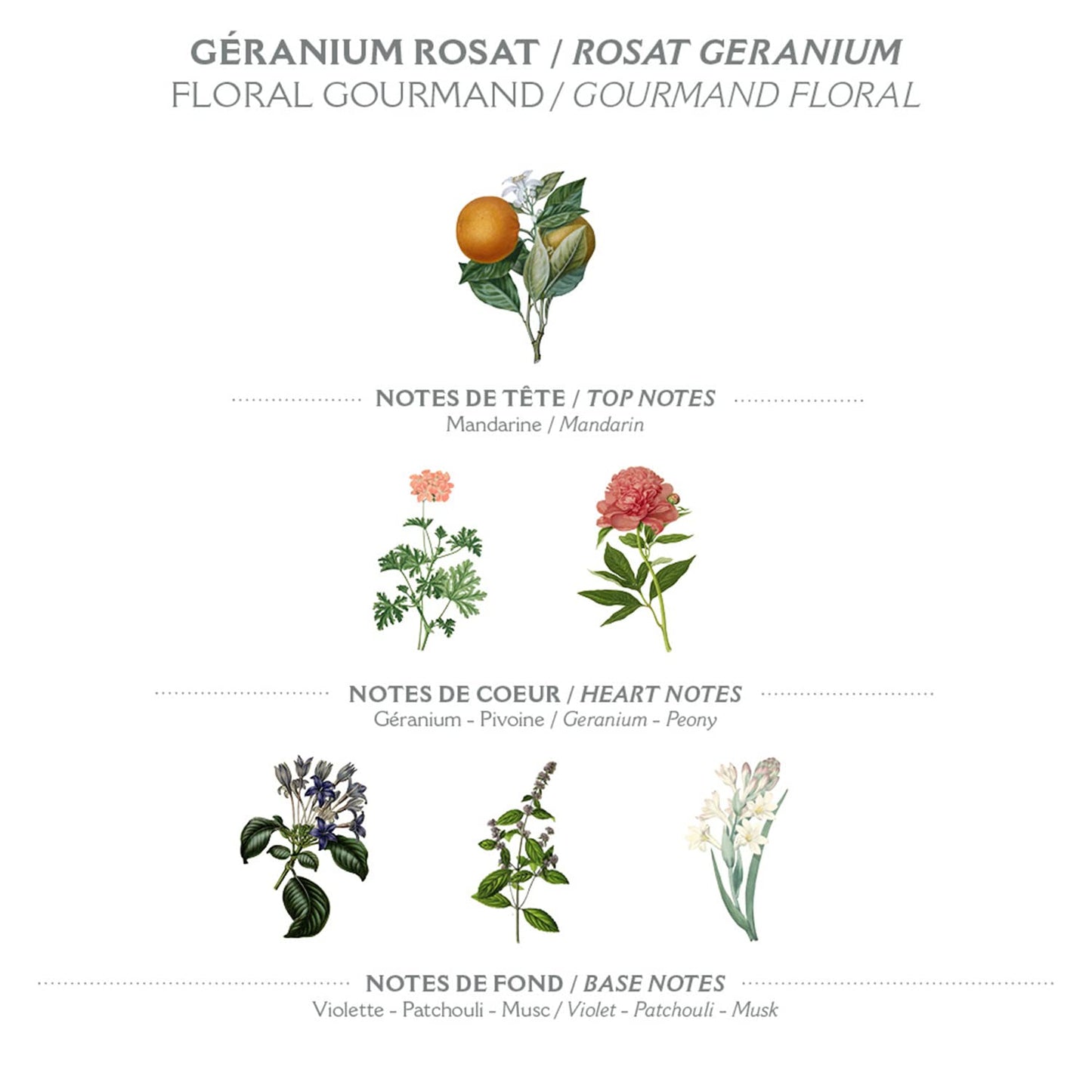 Panier des Sens – Rose Geranium Bar Soap - Moisturizing Gentle Scented Soap Bar - Natural Soap with Olive Oil - 97% Natural Ingredients Made in France - Vegan Friendly - Body & Hand Soap Bars 2x5.3 oz