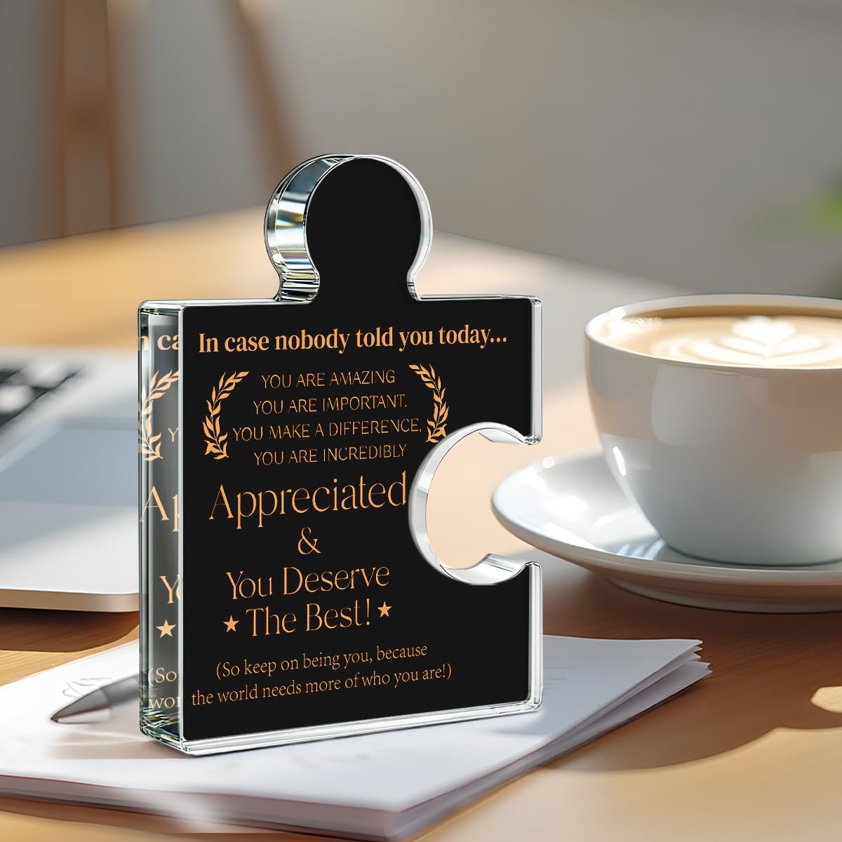 Employee Appreciation Gifts Thank You Gift Goodbye Leaving Gifts for Coworkers Colleagues Employees, In Case Nobody Told You Today You Are Appreciated Acrylic Puzzle Piece Plaque Office Decor, Black