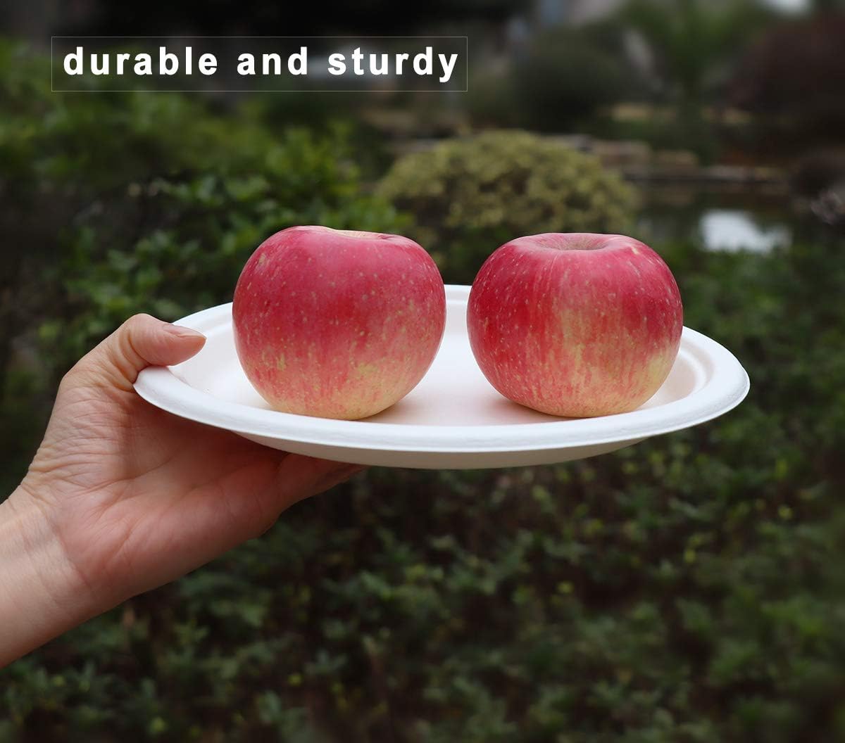 GreenWorks 7 inch and 9 inch Heavy-duty Compostable Plates (each 50 Count), 100 Count Unbleached Disposable Paper Plates