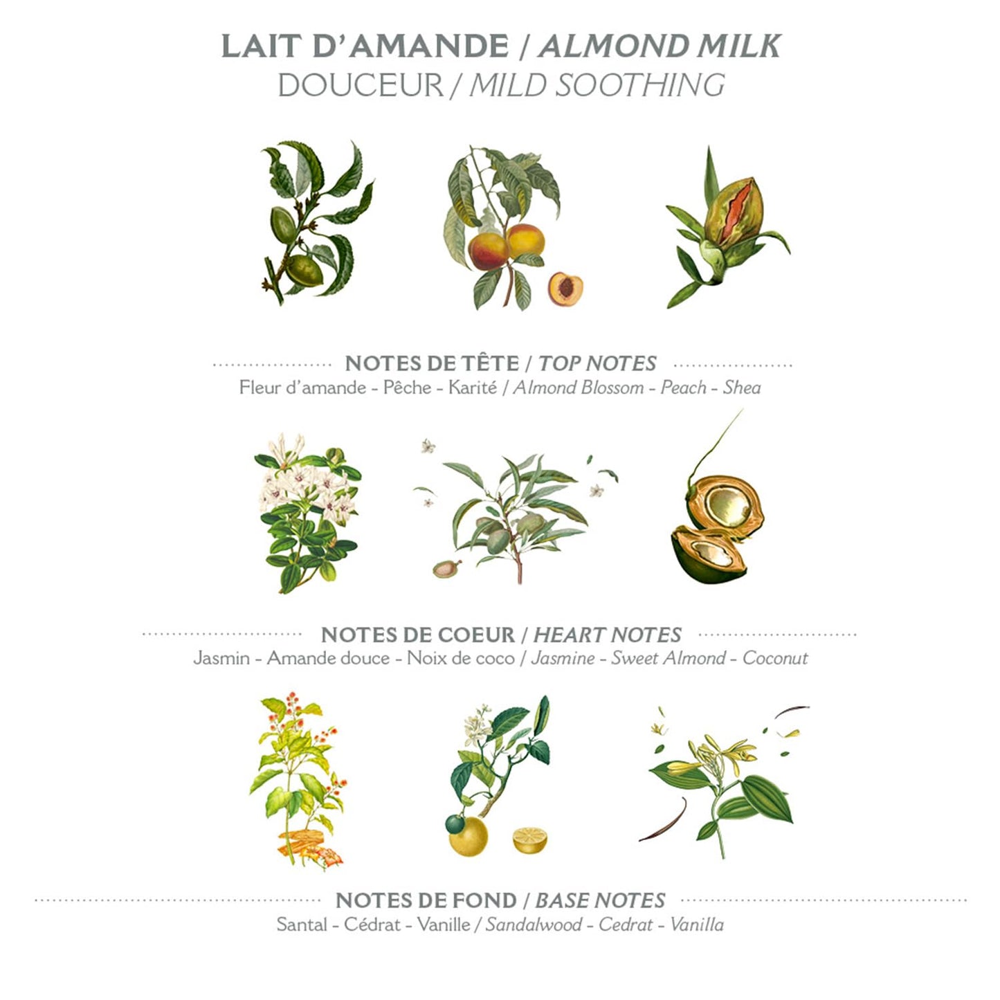 Panier des Sens - Almond Milk Bar Soap - Moisturizing Gentle Scented Soap Bar - Natural Soap with Shea Oil - 97% natural ingredients Made in France - Vegan Friendly - Body and Hands - 2x7 oz