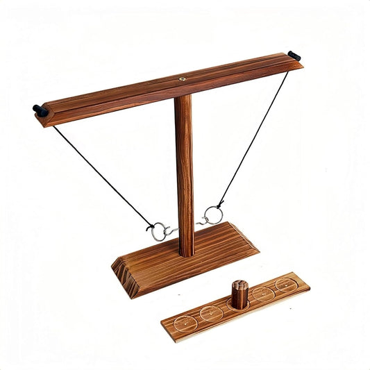 Ring Toss Game, Ring Throwing Game with Shot Put, Hook and Ring Throwing Game for Adults Kids, Fun Hook and Ring Game with Ladder