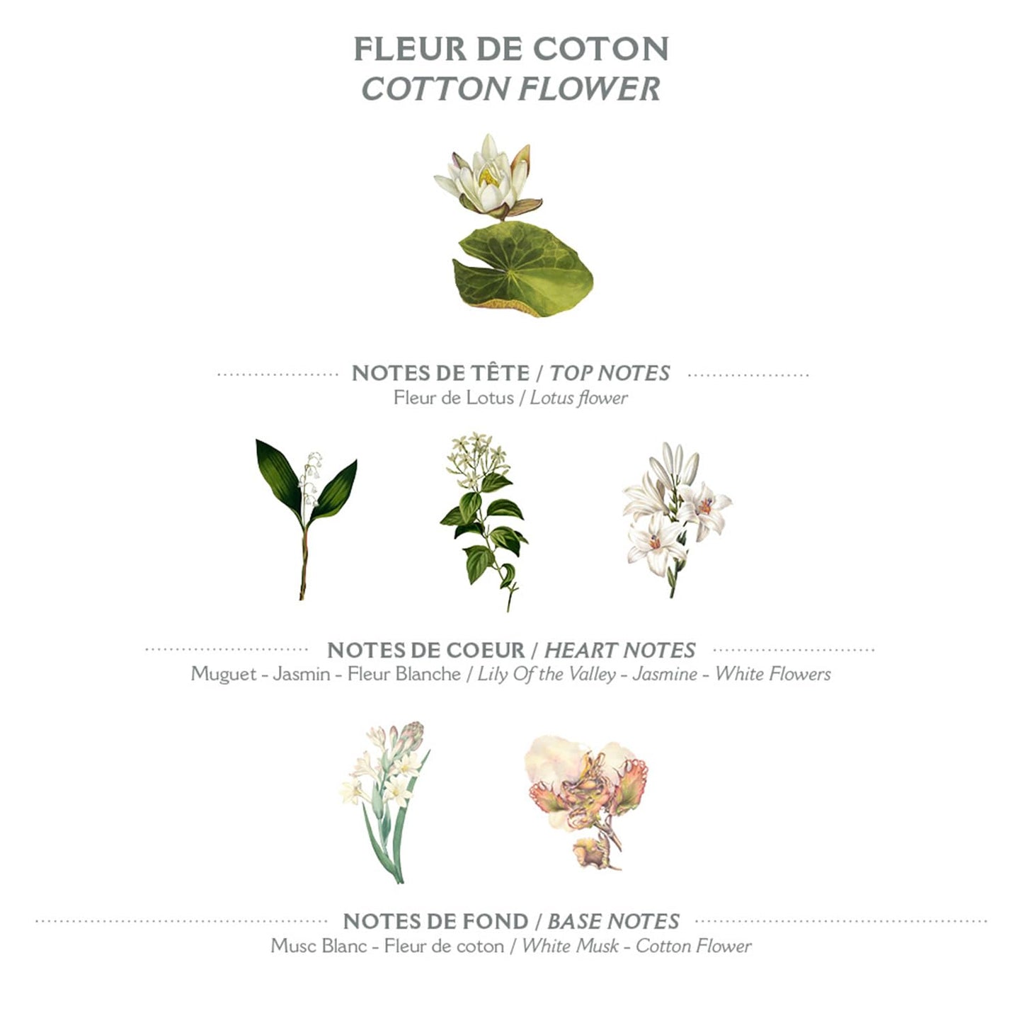 Panier des Sens Cotton Flower Shea butter natural bar soap, bath & body soap bars - Made in France 95% natural - 2 bars, 7oz/200g each