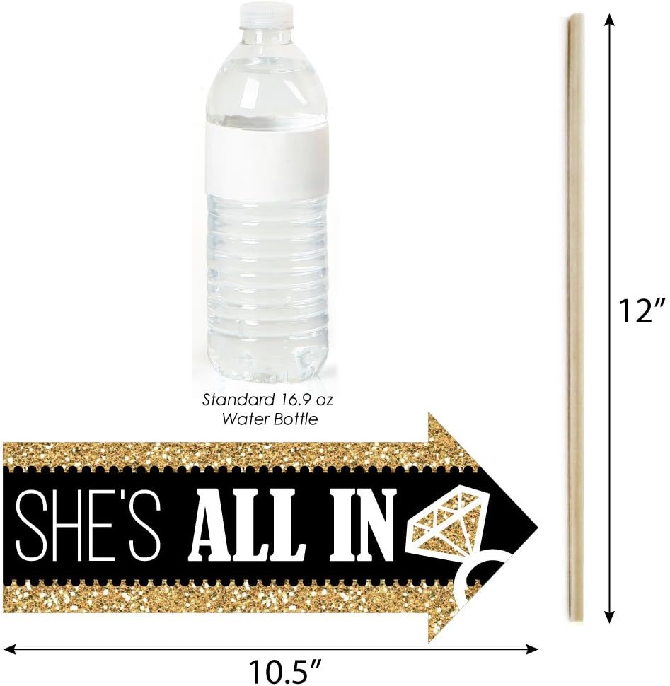 Big Dot of Happiness Funny Vegas Before Vows - Las Vegas Bridal Shower or Bachelorette Party Photo Booth Props Kit - 10 Piece