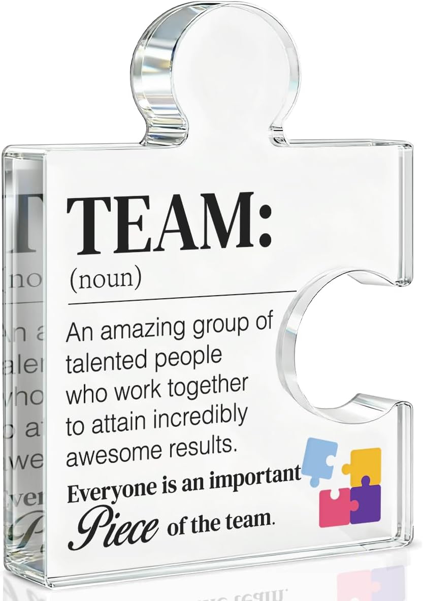 Team Gift Thank You Appreciation Gifts for Coworkers Colleagues Employees Team Definition Acrylic Puzzle Piece Plaque Office Decor