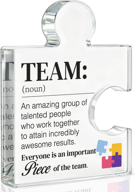 Team Gift Thank You Appreciation Gifts for Coworkers Colleagues Employees Team Definition Acrylic Puzzle Piece Plaque Office Decor