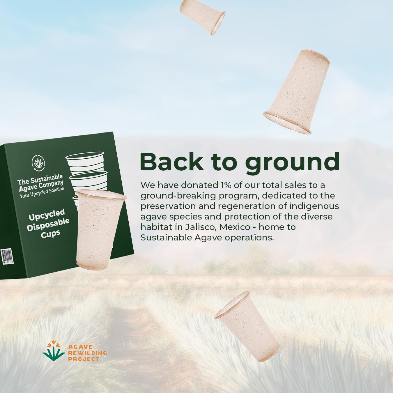 Sustainable Agave Co - Sweet Agave Fiber Cups - 12 Ounce - 50 Count Plant-Based, Made With Upcycled Materials - Clear