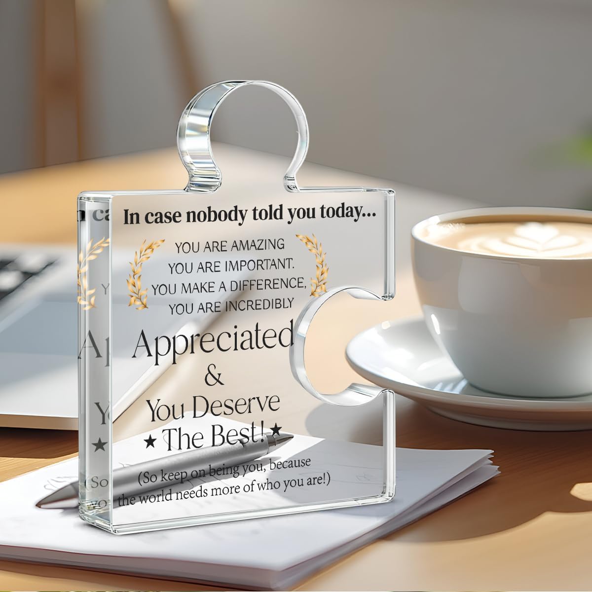 Employee Appreciation Gifts Thank You Gift Goodbye Leaving Gifts for Coworkers Colleagues Employees, in Case Nobody Told You Today You Are Appreciated Acrylic Puzzle Piece Plaque Office Decor