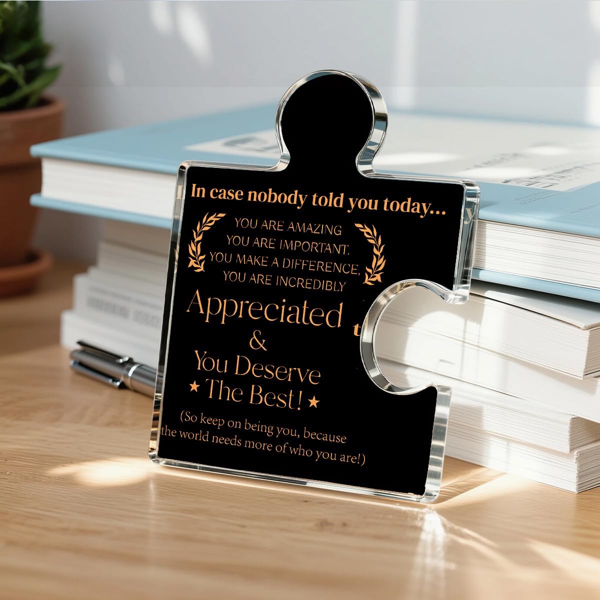 Employee Appreciation Gifts Thank You Gift Goodbye Leaving Gifts for Coworkers Colleagues Employees, In Case Nobody Told You Today You Are Appreciated Acrylic Puzzle Piece Plaque Office Decor, Black