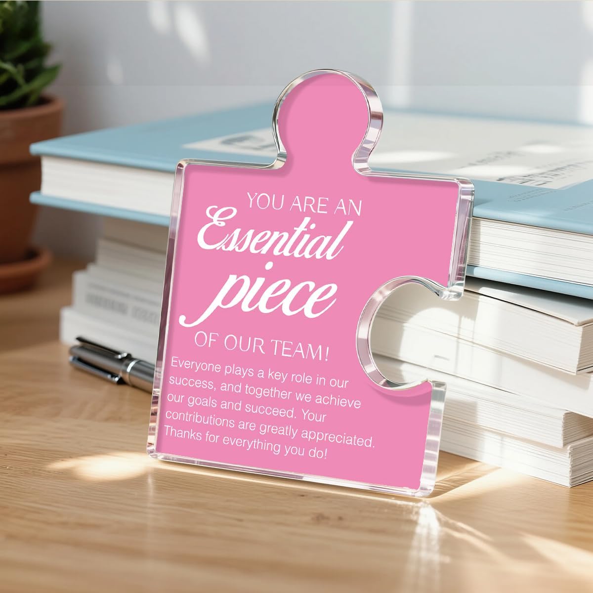 Team Appreciation Gifts Thank You Gift for Women, Best Team Ever Gifts for Coworkers Colleagues Employees, You Are an Essential Piece Acrylic Puzzle Piece Plaque Office Decor