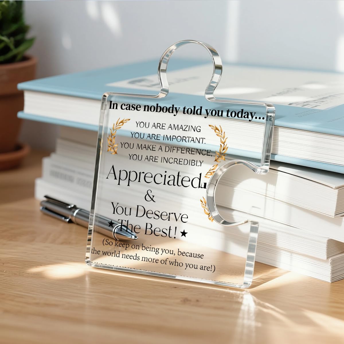 Employee Appreciation Gifts Thank You Gift Goodbye Leaving Gifts for Coworkers Colleagues Employees, in Case Nobody Told You Today You Are Appreciated Acrylic Puzzle Piece Plaque Office Decor
