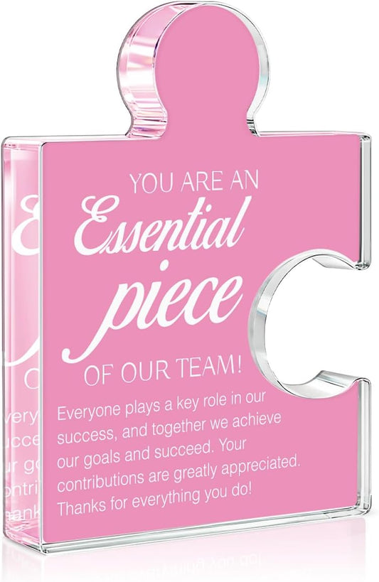Team Appreciation Gifts Thank You Gift for Women, Best Team Ever Gifts for Coworkers Colleagues Employees, You Are an Essential Piece Acrylic Puzzle Piece Plaque Office Decor