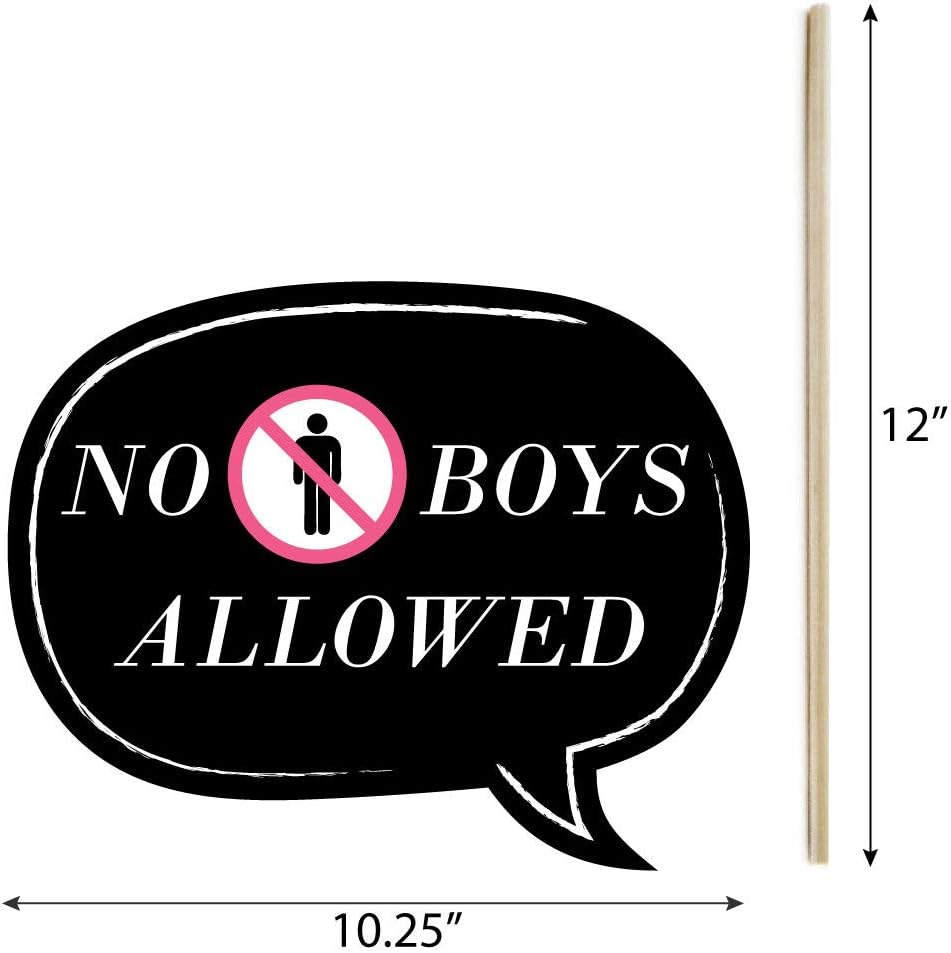 Big Dot of Happiness Funny Girls Night Out - Bachelorette Party Photo Booth Props Kit - 10 Piece