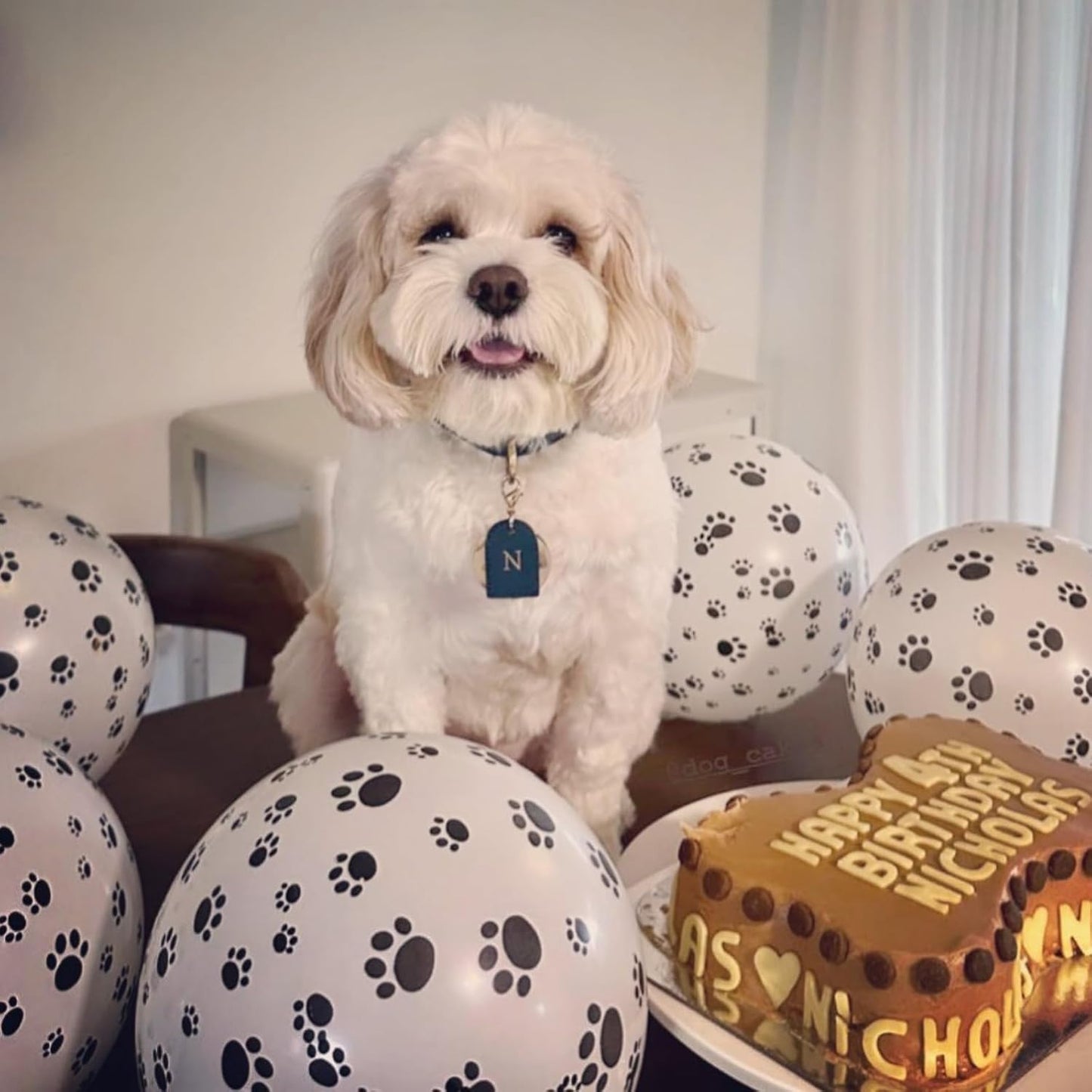 Dog Paw Balloons, 12 Inch Royal Blue Red and Yellow Balloons with White Dog Paw Print Helium Latex Balloon, Carnival Circus Balloon for Dog Themed Boys Girls Birthday Party Decoration Supplies