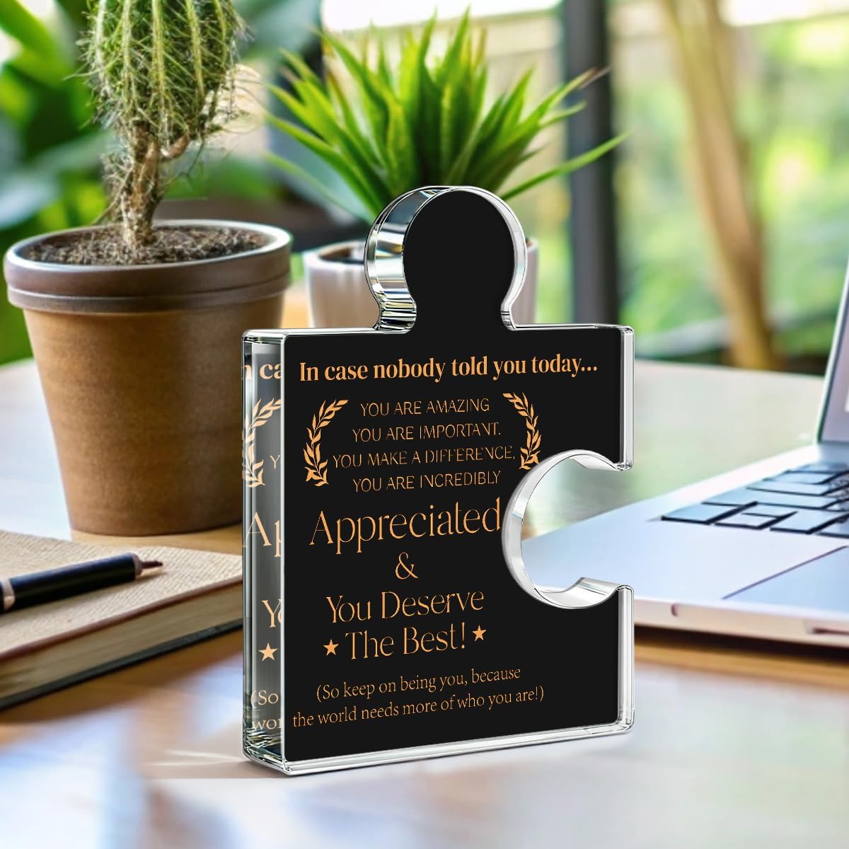 Employee Appreciation Gifts Thank You Gift Goodbye Leaving Gifts for Coworkers Colleagues Employees, In Case Nobody Told You Today You Are Appreciated Acrylic Puzzle Piece Plaque Office Decor, Black