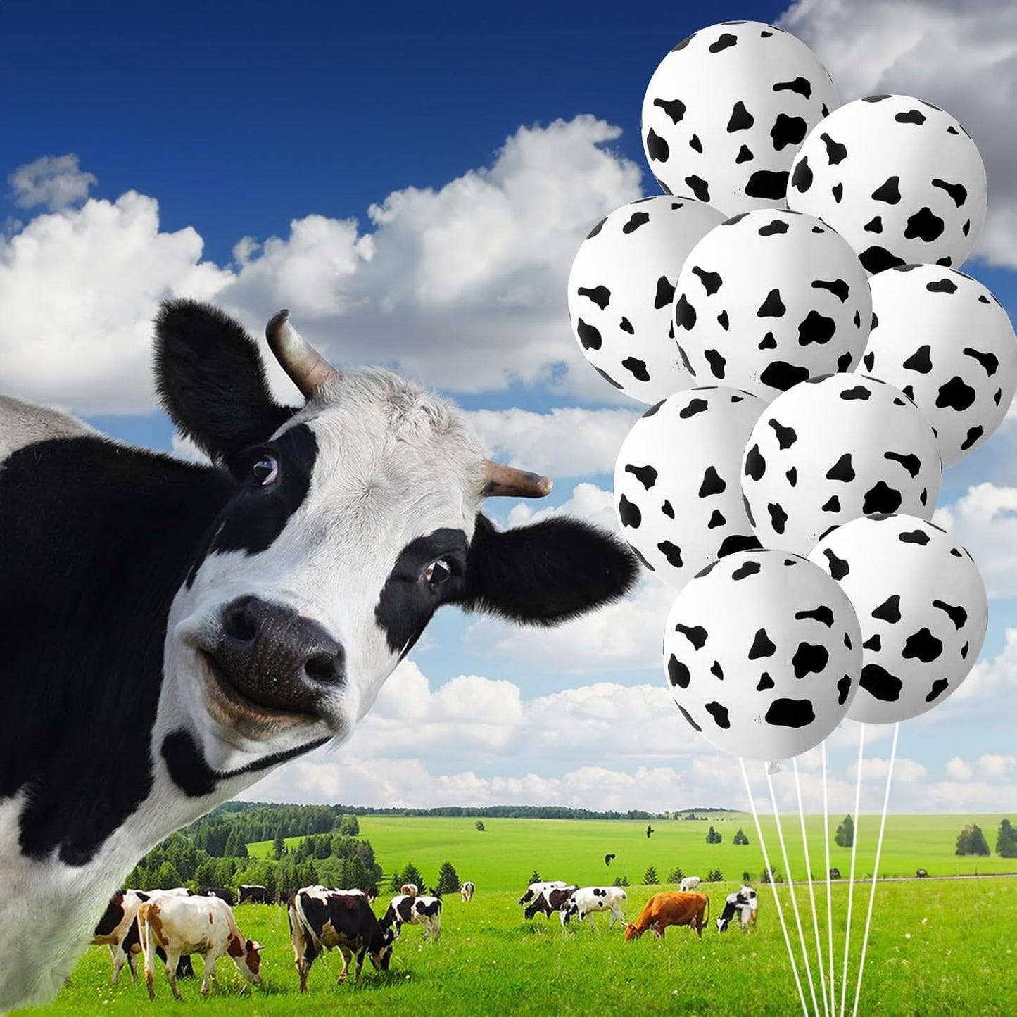 Cow Print Balloons, 30 Pcs Cute Cow Latex Balloons for Kids Party, Black White Western Cowboy Cowgirl Balloons for Boys Girls Farm Theme First Rodeo Birthday Baby Shower Party Decorations Supplies