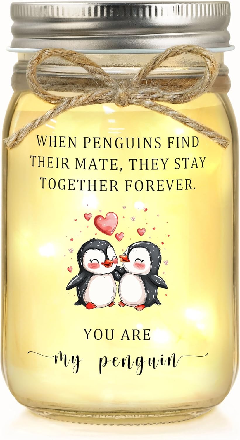 Gifts for Boyfriend/Girlfriend, Anniversary for Men/Women/Couple, Birthday Gifts for Boyfriend/Girlfriend, Gift for Him/Her, You are My Penguin Presents for Christmas Valentines Day Wedding