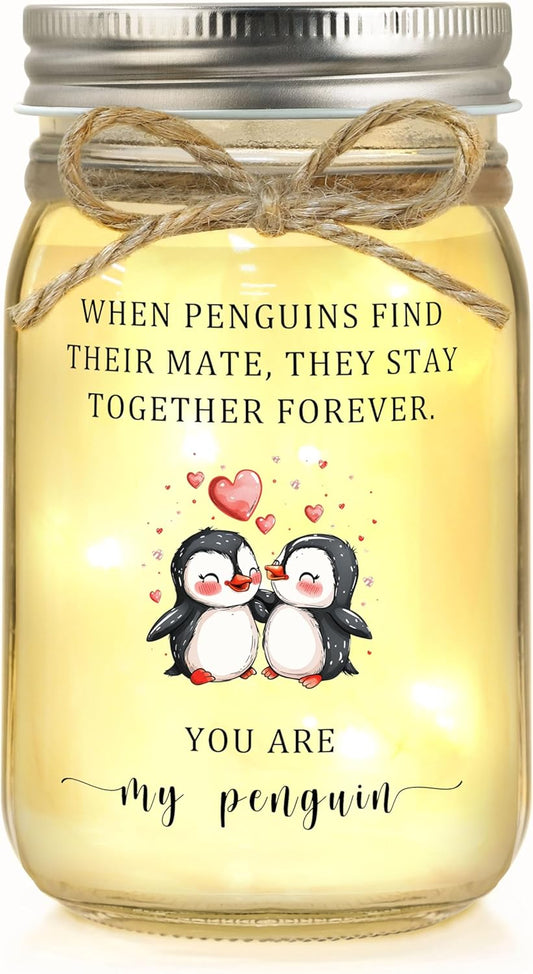 Gifts for Boyfriend/Girlfriend, Anniversary for Men/Women/Couple, Birthday Gifts for Boyfriend/Girlfriend, Gift for Him/Her, You are My Penguin Presents for Christmas Valentines Day Wedding