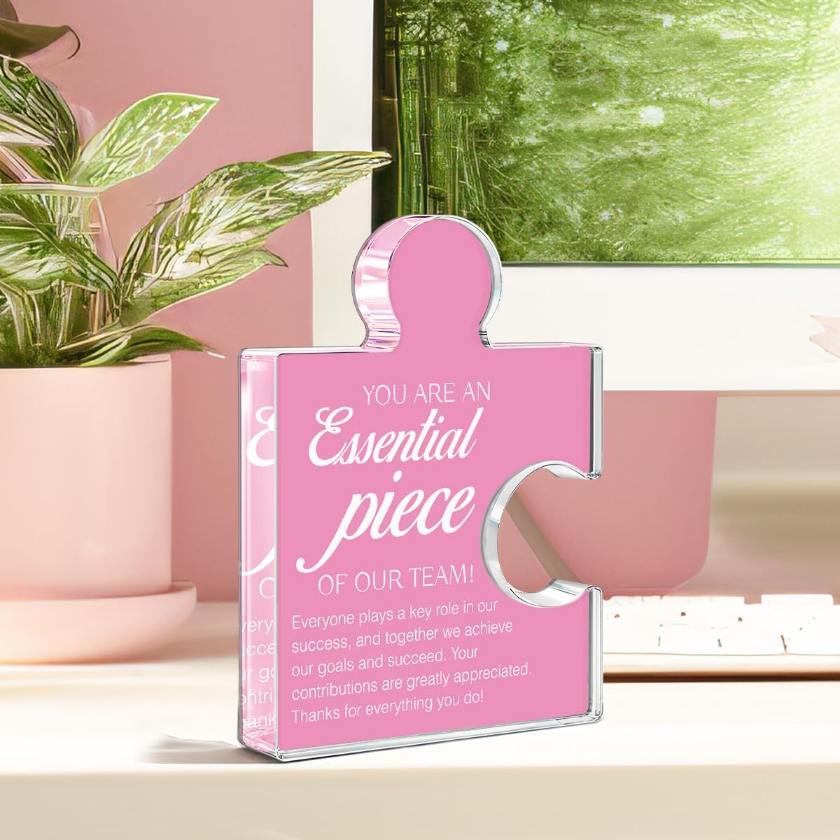 Team Appreciation Gifts Thank You Gift for Women, Best Team Ever Gifts for Coworkers Colleagues Employees, You Are an Essential Piece Acrylic Puzzle Piece Plaque Office Decor