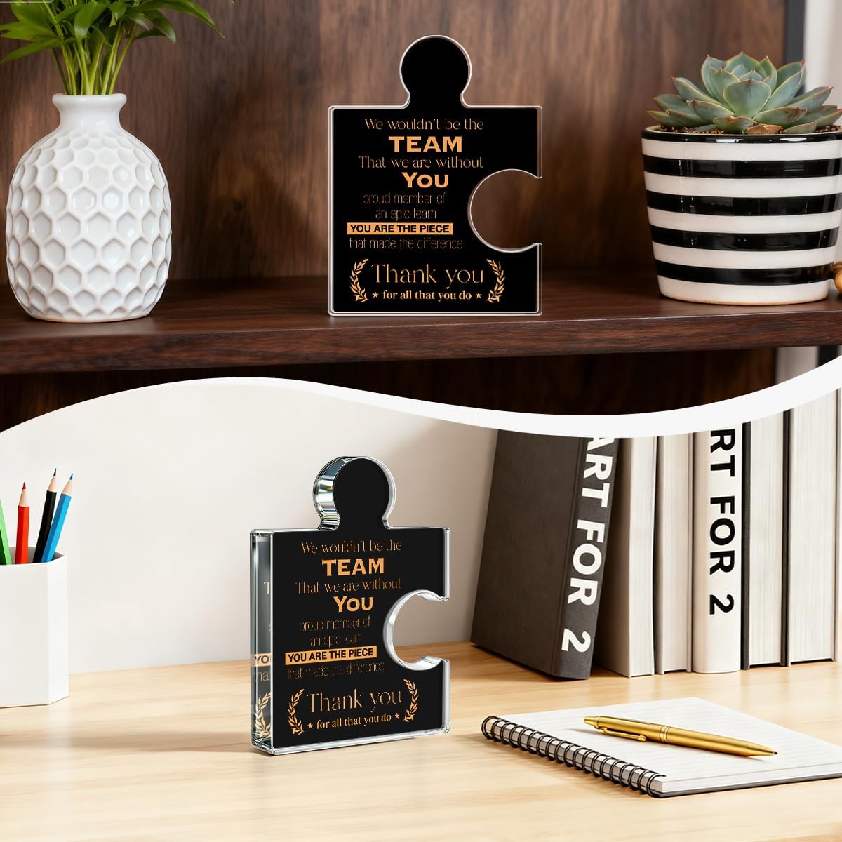 Teams Appreciation Gifts Thank You Gift for Coworkers Colleagues Employees Boss, Best Team Ever Gifts We Wouldn't Be the Team We Are Without You Acrylic Puzzle Piece Plaque Office Decor, Black