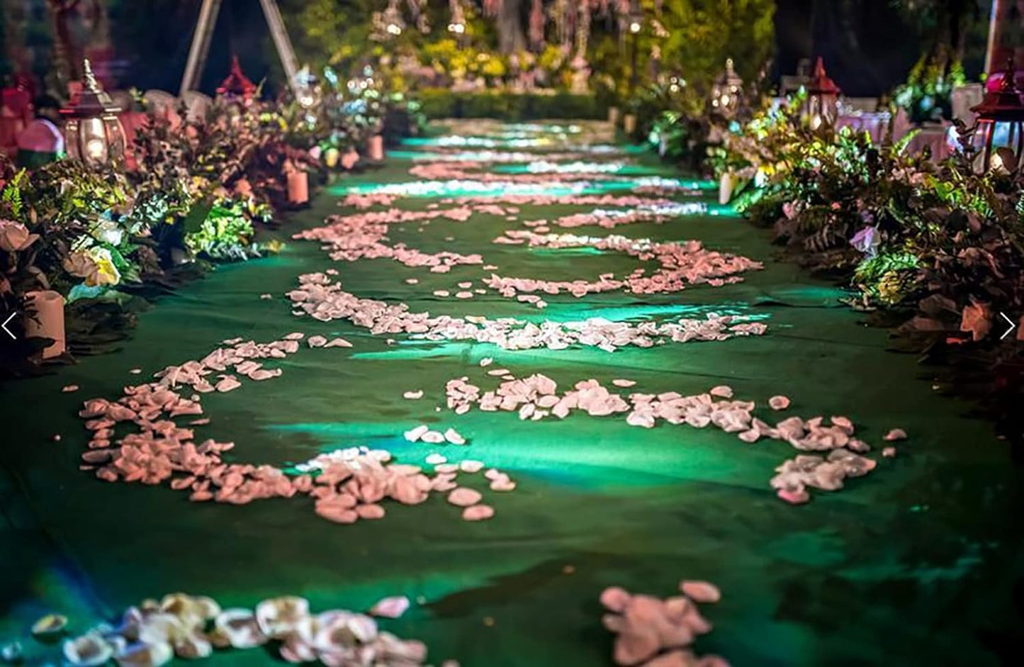 Aisle Runners Wedding Accessories Grass Green Aisle Runner Carpet Rugs for Step and Repeat Display, Ceremony Parties and Events Indoor or Outdoor Decoration 36 Inch Wide x 30 feet Long