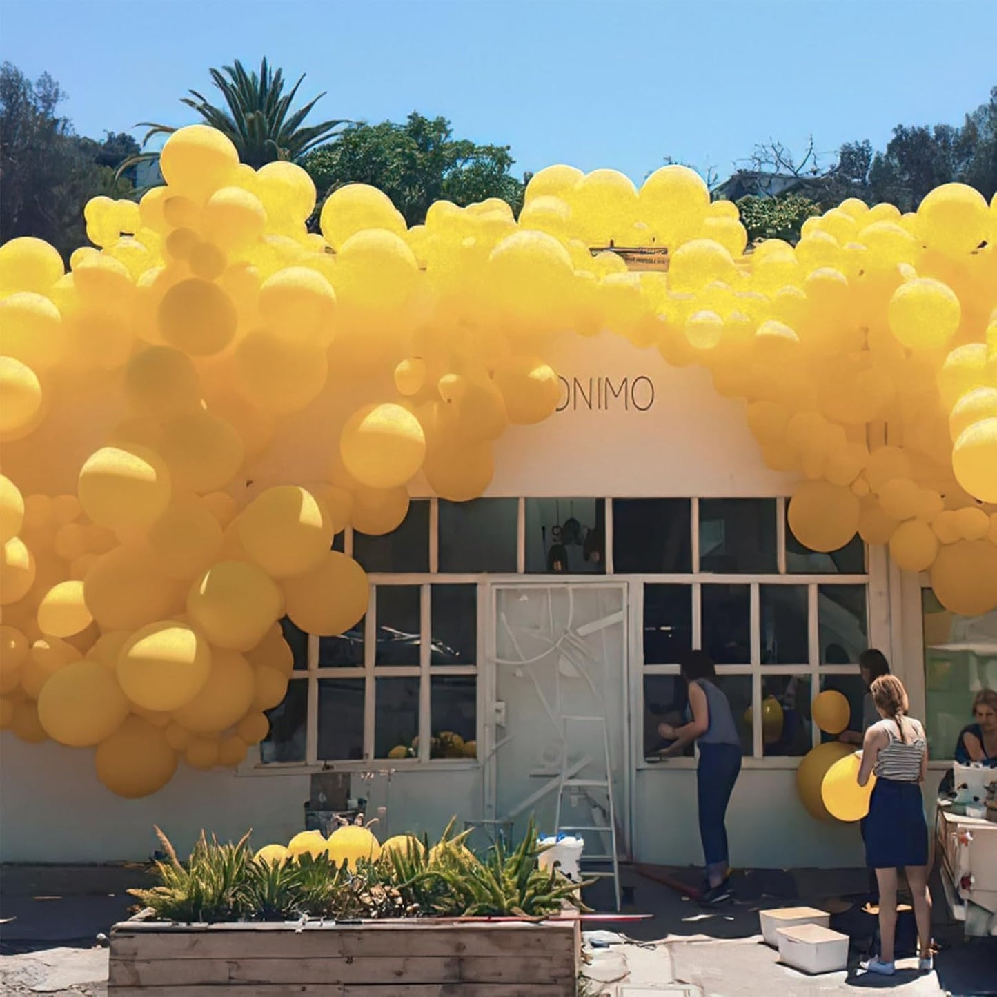 PartyWoo Mustard Yellow Balloons, 50 pcs 12 Inch Boho Yellow Balloons, Dark Yellow Balloons for Balloon Garland or Balloon Arch as Birthday Party Decorations, Baby Shower Decorations, Yellow-F57