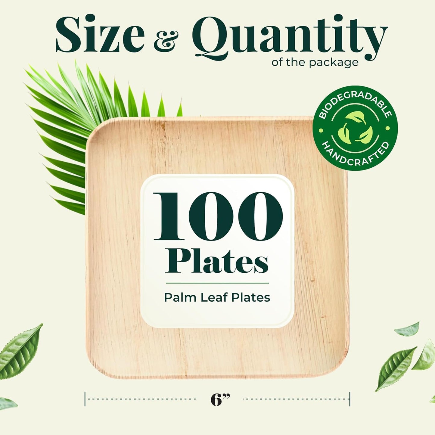 Palm Leaf Plate Bamboo Paper Disposable 6 Inch 100 Bulk Appetizer and Dessert Square Party Pack Eco Biodegradable Compostable Wooden Plates Better Than Plastic Plates By KoalaLove