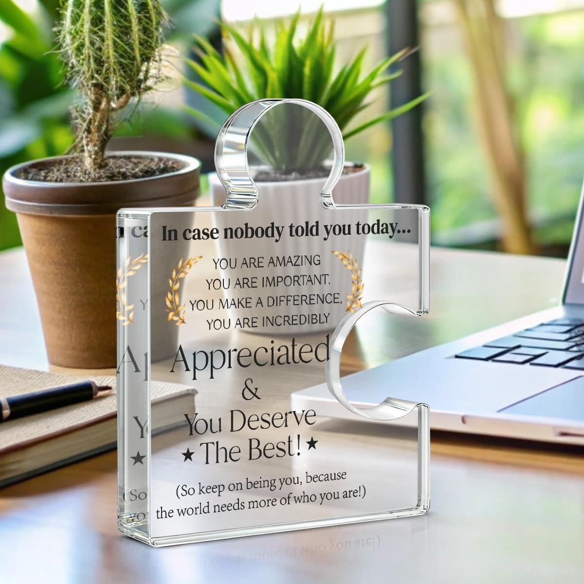 Employee Appreciation Gifts Thank You Gift Goodbye Leaving Gifts for Coworkers Colleagues Employees, in Case Nobody Told You Today You Are Appreciated Acrylic Puzzle Piece Plaque Office Decor