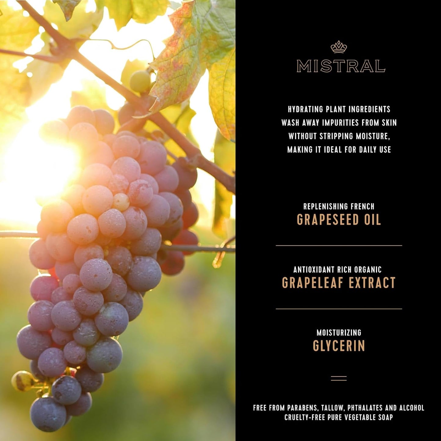 Mistral Cypress Oak Luxury Bar Soap for Men | Men’s Natural Soap Bar | Paraben, Phthalates Free | Moisturizing & Triple-Milled Natural Soap for Men - Made in France | Large, 8.8 oz