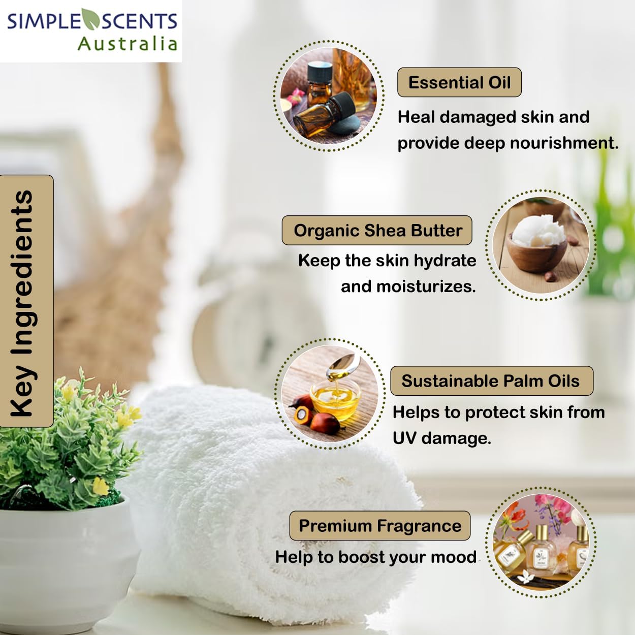 SSA Coconut Vanilla Scented Natural Soap Bars (12 Bars), 3.5oz Moisturizing French Triple Milled Bar Soap Enriched with Shea Butter, Long Lasting Plant Based Body Bath Bars for Men & Women