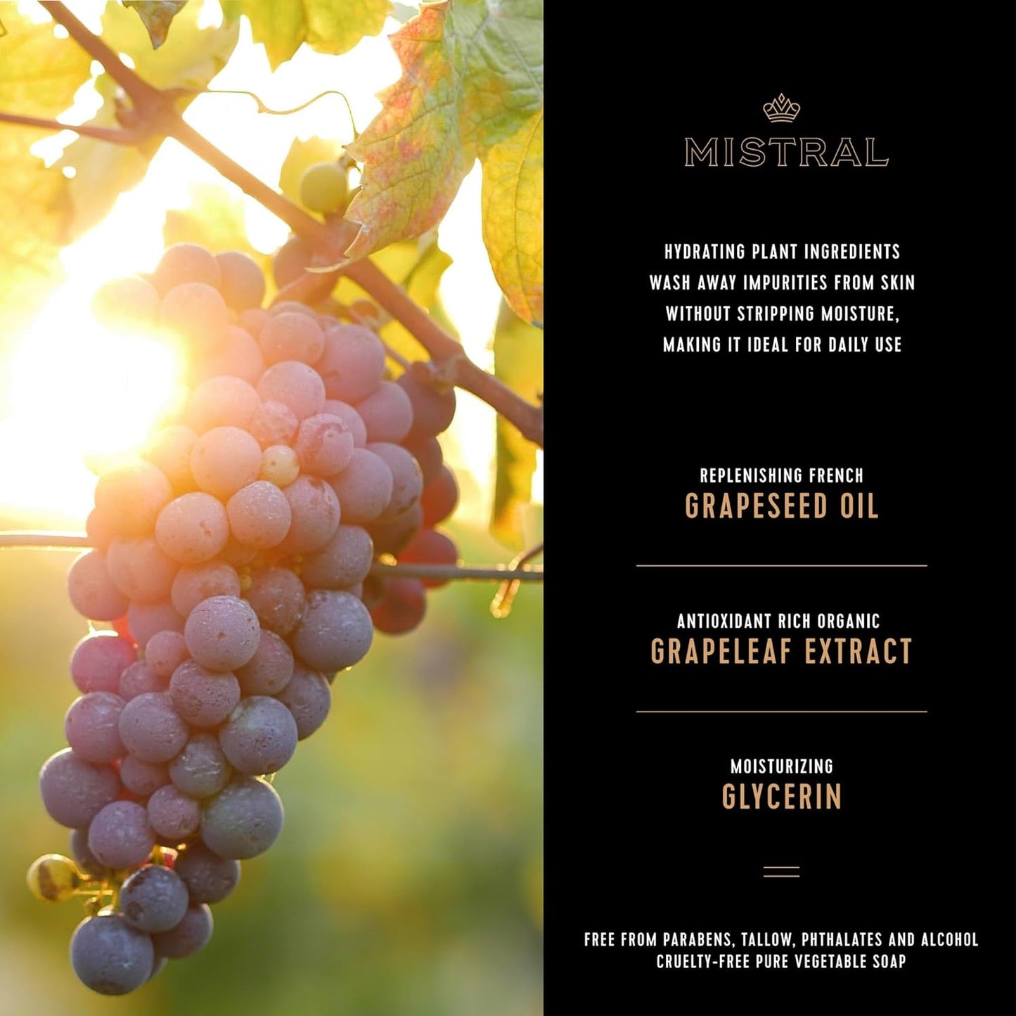 Mistral Mahogany Rum Luxury Bar Soap for Men | Men’s Natural Soap Bar | Paraben, Phthalates Free | Moisturizing & Triple-Milled Natural Soap for Men - Made in France | Large, 8.8 oz