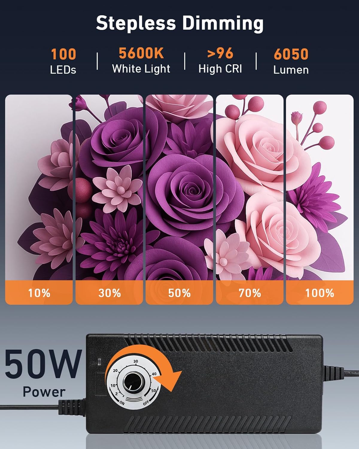 DUCLUS Photo Light Box 24x24 inch, Portable Shooting Tent Kit, Professional Dimmable Photo Studio Light Box with 100 LED Beads & 6 Color Backdrops for Jewelry and Food Items Product Photography