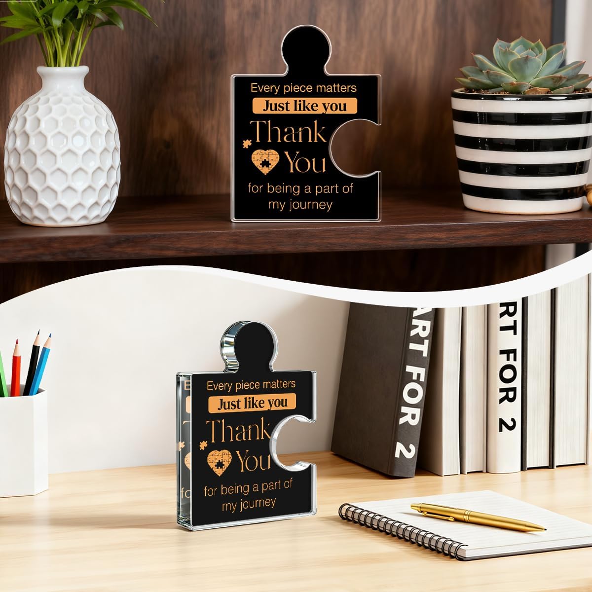 Thank You Gifts for Coworkers Appreciation Gift Retirement Gifts for Colleagues Employees Boss, Every Piece Matters Just Like You Acrylic Puzzle Piece Plaque Office Decor, Black