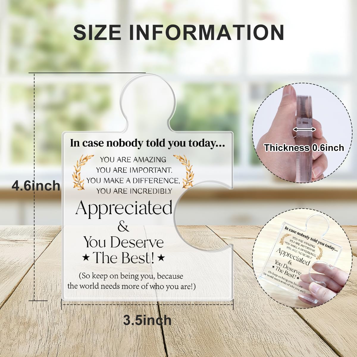 Employee Appreciation Gifts Thank You Gift Goodbye Leaving Gifts for Coworkers Colleagues Employees, in Case Nobody Told You Today You Are Appreciated Acrylic Puzzle Piece Plaque Office Decor