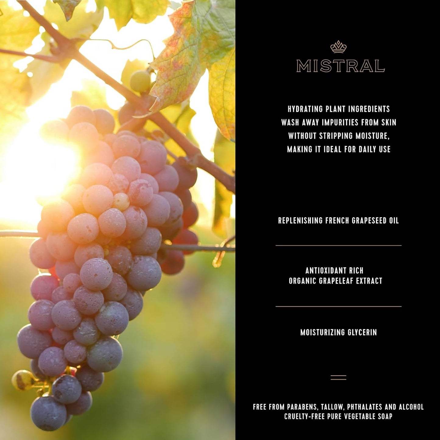 Mistral Salted Gin Luxury Bar Soap for Men | Men’s Natural Soap Bar | Paraben, Phthalates Free | Moisturizing & Triple-Milled Natural Soap for Men - Made in France | Large, 8.8 oz