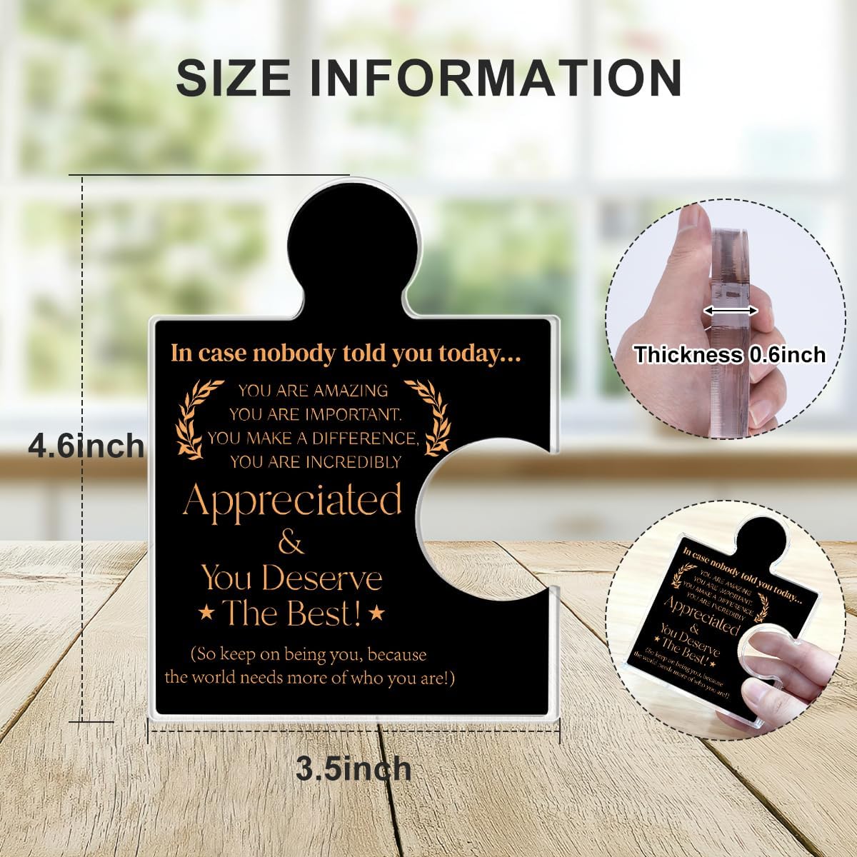 Employee Appreciation Gifts Thank You Gift Goodbye Leaving Gifts for Coworkers Colleagues Employees, In Case Nobody Told You Today You Are Appreciated Acrylic Puzzle Piece Plaque Office Decor, Black