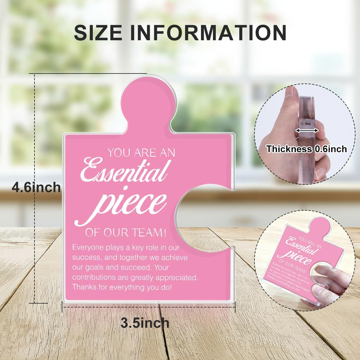Team Appreciation Gifts Thank You Gift for Women, Best Team Ever Gifts for Coworkers Colleagues Employees, You Are an Essential Piece Acrylic Puzzle Piece Plaque Office Decor