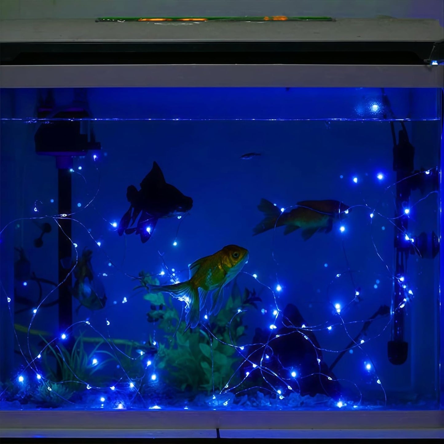 WATERGLIDE 12 Pack Fairy Lights Battery Operated (Included), 7 ft 20 LED Mini String Lights, Waterproof Silver Wire Firefly Starry Light for DIY Wedding Christmas Party Mason Jars Decor, Blue