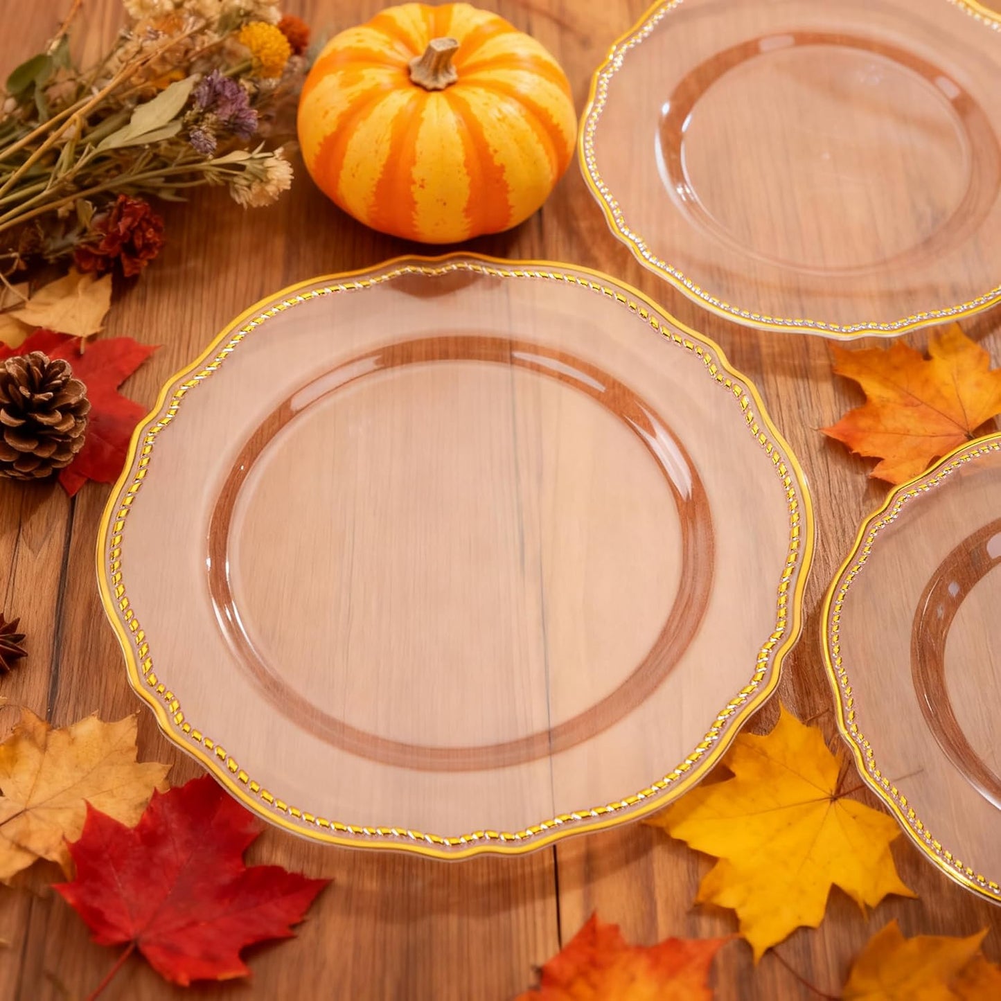 Hioasis 60pcs Clear Plastic Plates - Clear and Gold Disposable Dinnerware with Gold Rim, Heavy-duty, 10.25 inch, Dinner Plates for Party & Wedding