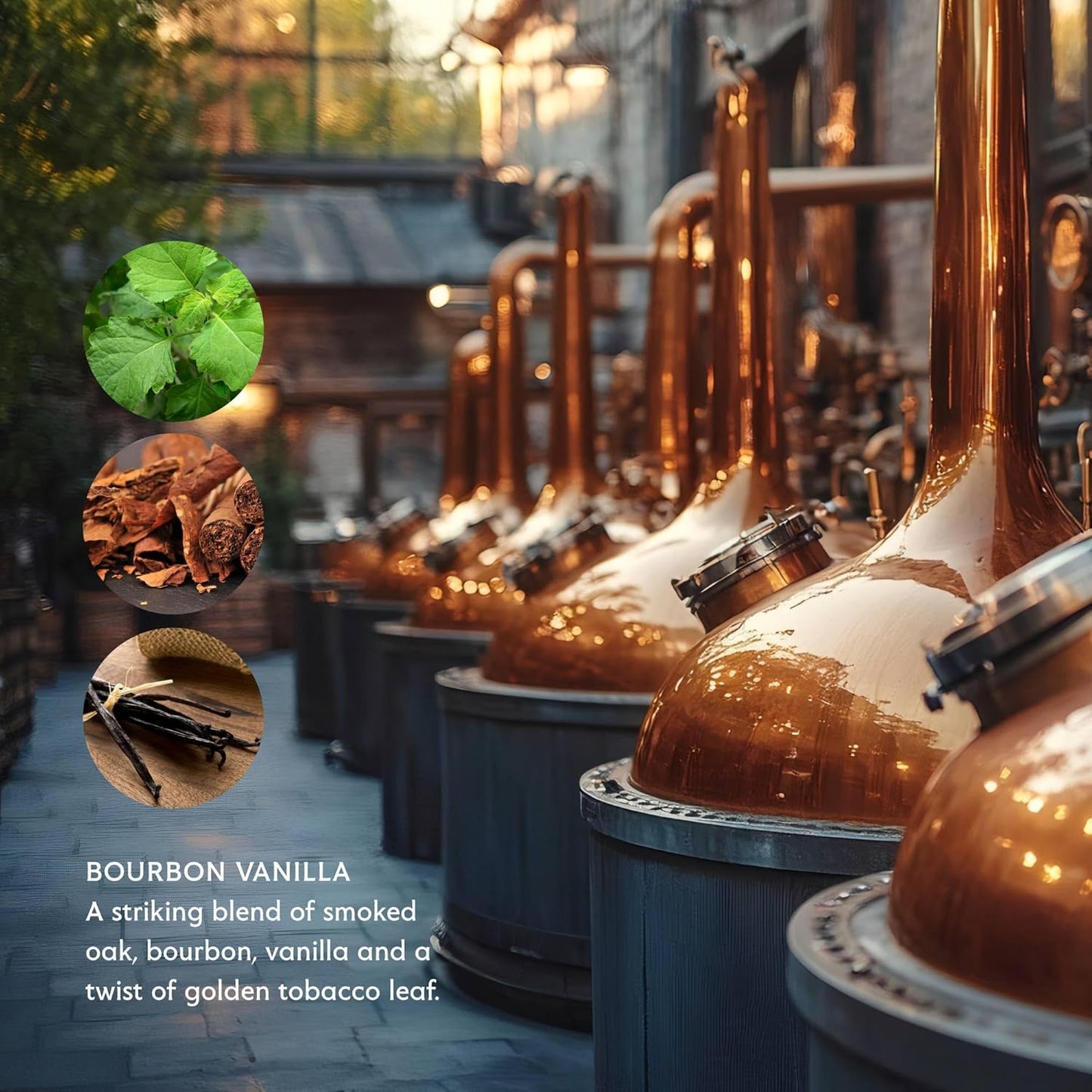 Mistral Bourbon Vanilla Luxury Bar Soap for Men | Men’s Natural Soap Bar | Paraben, Phthalates Free | Moisturizing & Triple-Milled Natural Soap for Men - Made in France | Large, 8.8 oz