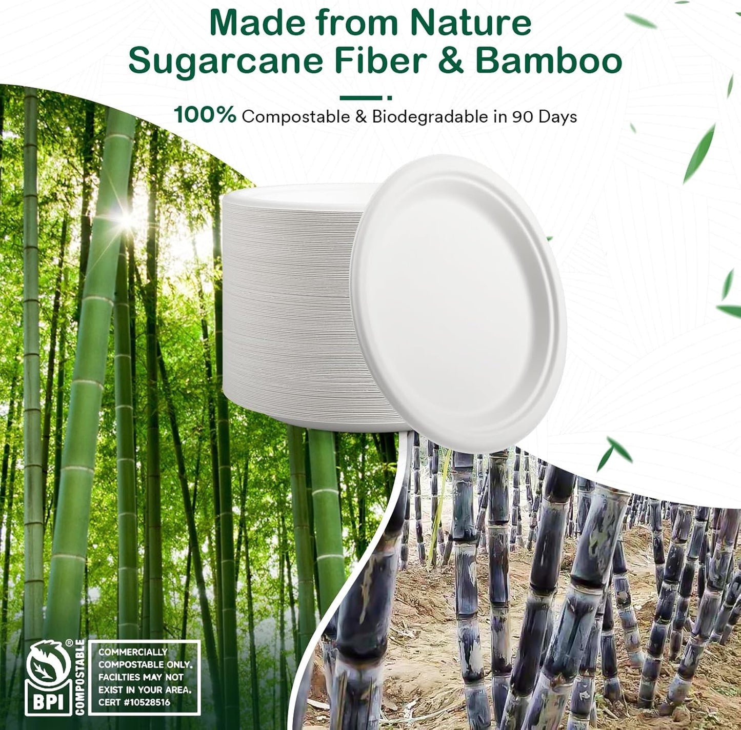 𝟏𝟎 𝐈𝐧𝐜𝐡, 𝟏𝟐𝟖-𝐏𝐚𝐜𝐤 Compostable Paper Plates, Heavy-Duty Biodegradable Disposable Dish Made from Bagasse, Perfeck for Snacks, Desserts, Party, Wedding and More (White)